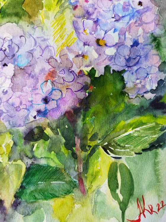 Blue Hydrangeas Art 9 by 12 inches