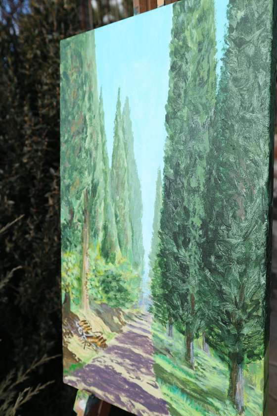 Cypress alley, 30*50