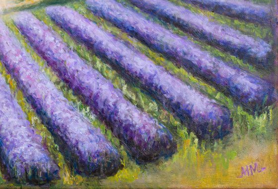 Lavender Horizon