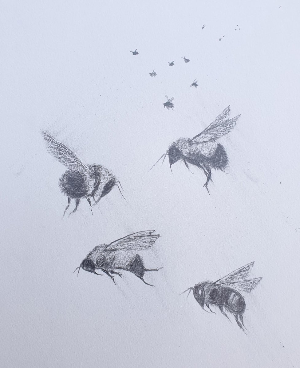 Bees in Motion by Teresa Tanner