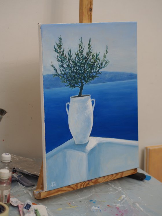 Olive tree in a white pot