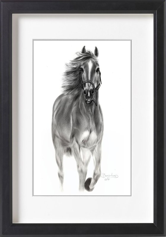 Oil painting ,, Horse ACE ,,
