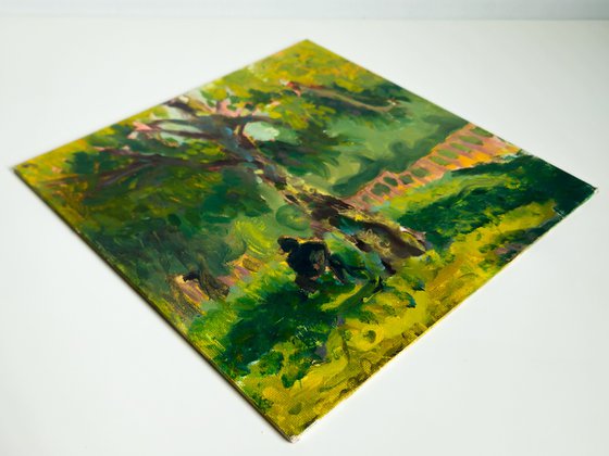 Professor's Patient Gaze