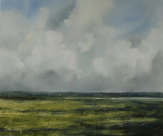 Near the lough, Irish Landscape