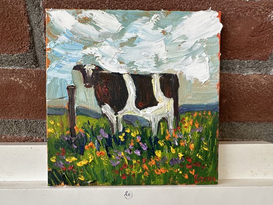 A cow in a field