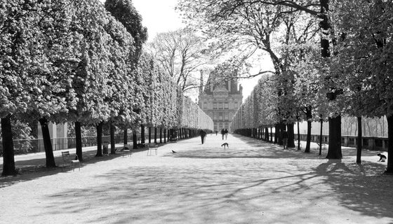 Jardin des Tuileries