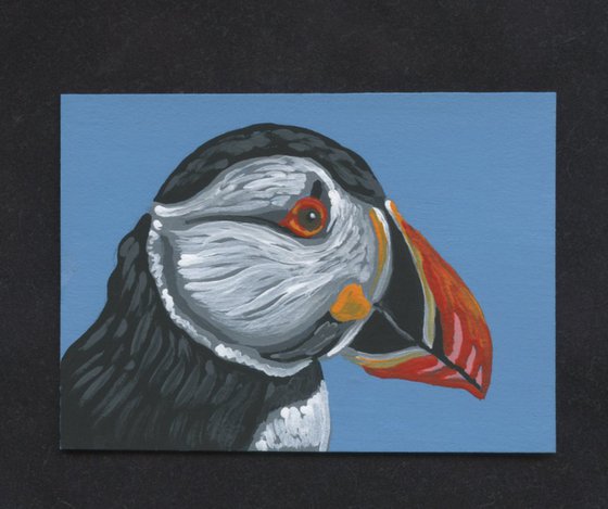 ACEO ATC Original Painting Atlantic Puffin Bird Wildlife Art-Carla Smale