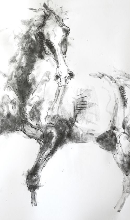 Equine Nude 9p by Benedicte Gele