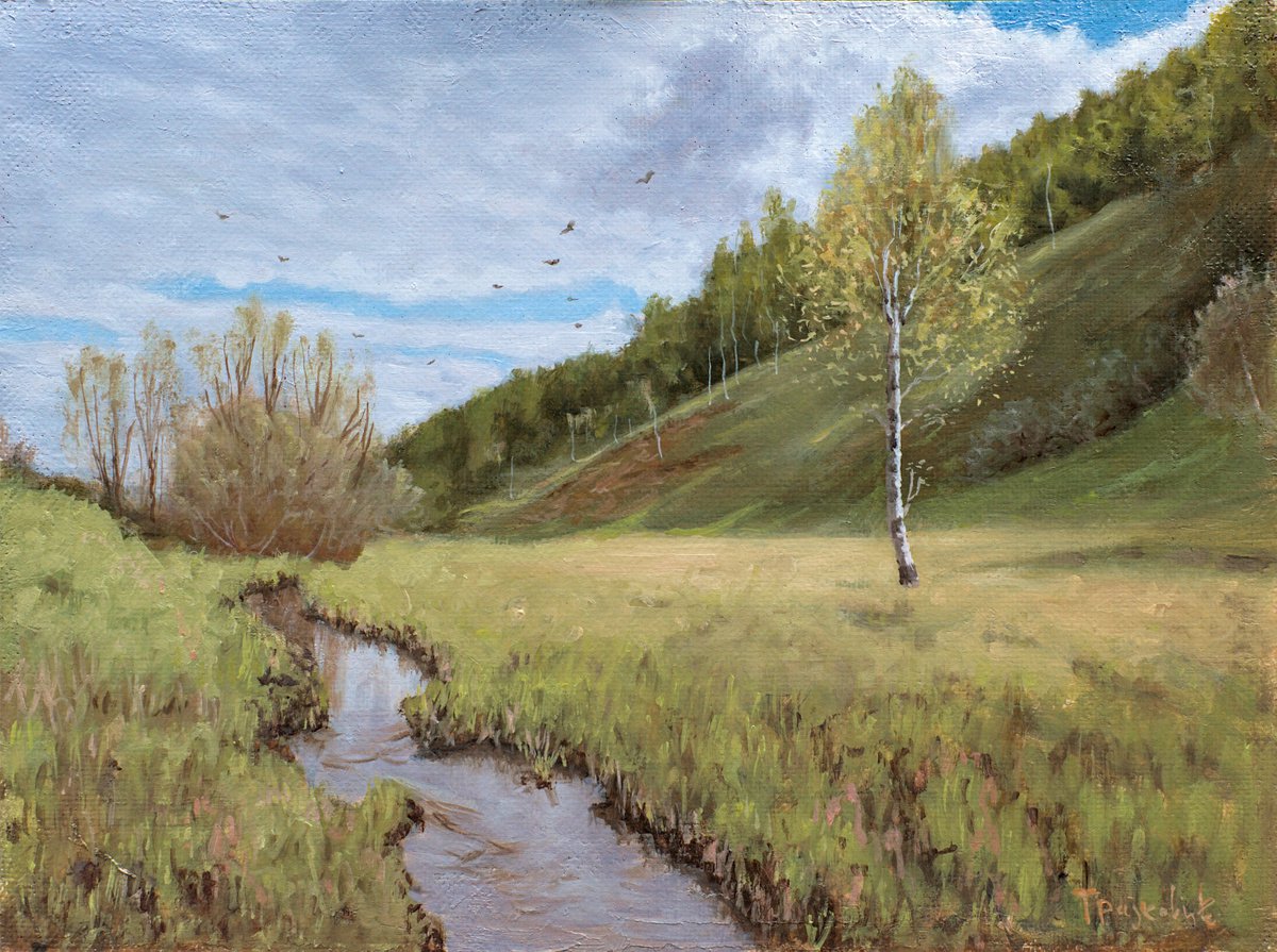 Impressionistic Landscape Oil Painting By Dejan Trajkovic, 19 X 15, Vlasina, Original Artwork