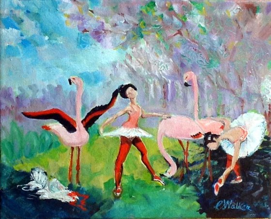 les Flamants Danceuses -   Dancing Flamingos