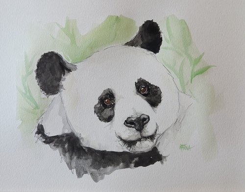 The Panda by Katrina Case