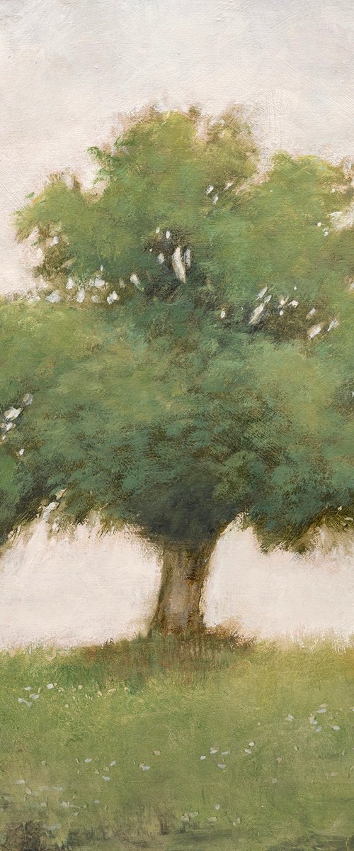 Zen Tree 28 260310 by Don Bishop