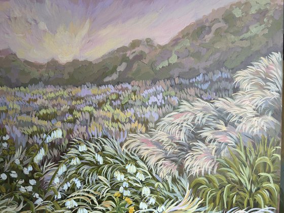 Fields Salute the Sun