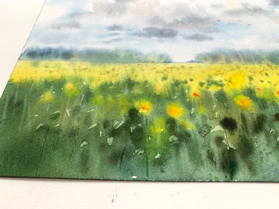 Sunflower field