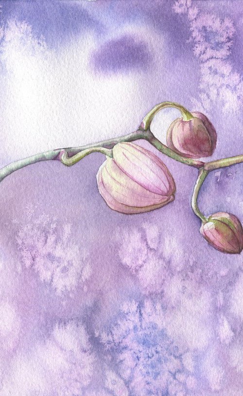 Ukrainian watercolour. Winter orchids by Nina Zakharova