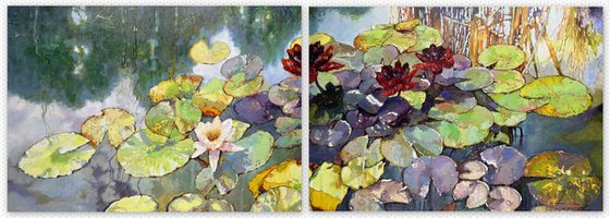 Water Lilies