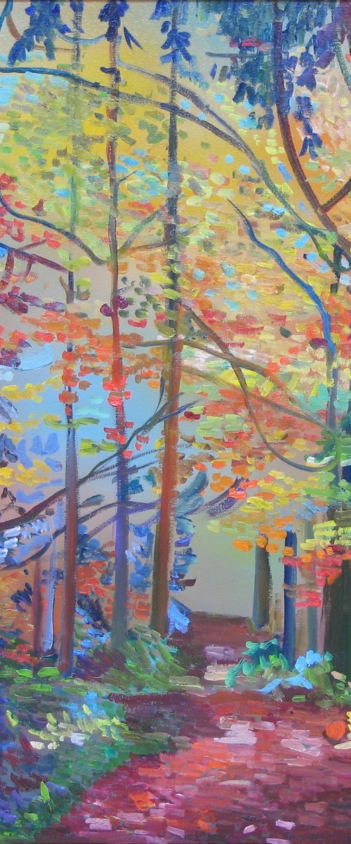 Forest path by Dubayova Ruth
