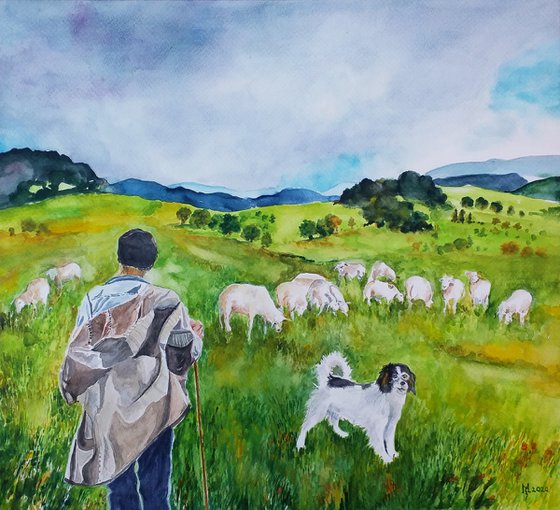 THE LIFE OF A SHEPHERD