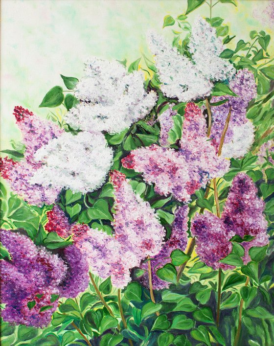 Bloomed lilac by Vera Melnyk