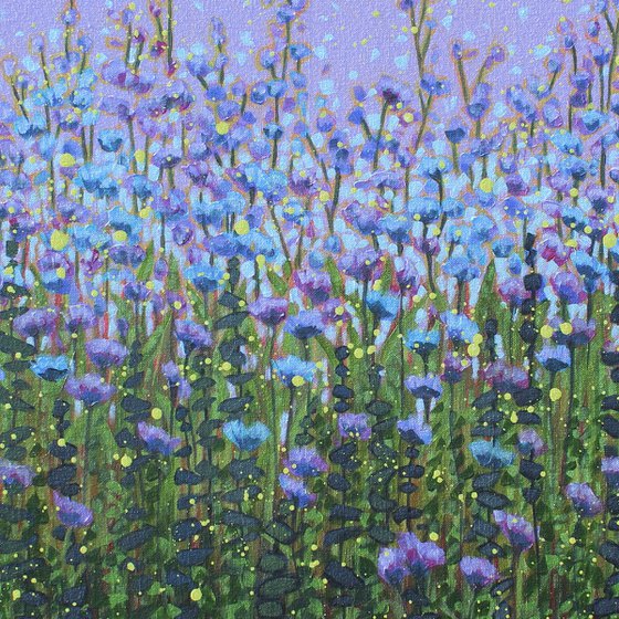 Dreaming of Wildflowers