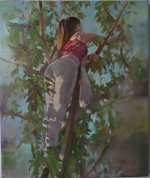 Harvest (50x60cm, oil/canvas, ready to hang) by Kamsar Ohanyan