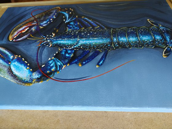 Royal lobster