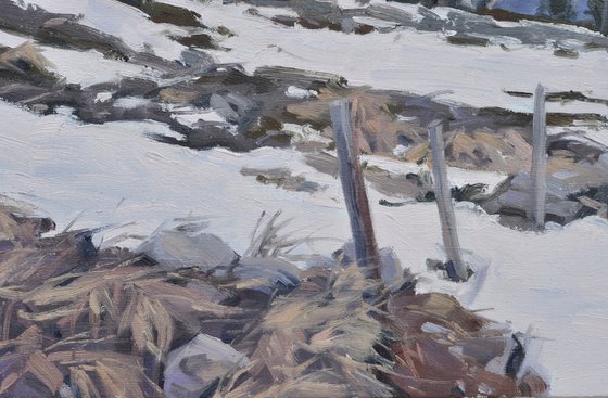 Winter light over the Mézenc