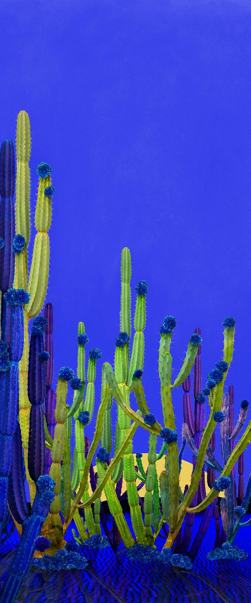 Cactus Blue by Nadia Attura