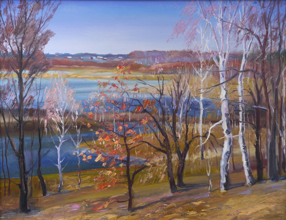 Impressionistic Landscape Oil Painting By Vyacheslav Onyshchenko, 35 X 28", Spring In The Bays. Belous, Original Artwork