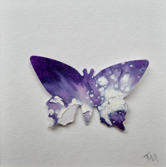 One Purple and white Butterfly