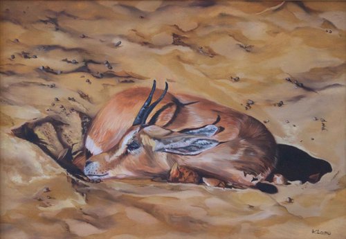 Gazelle endormie by Anne Zamo