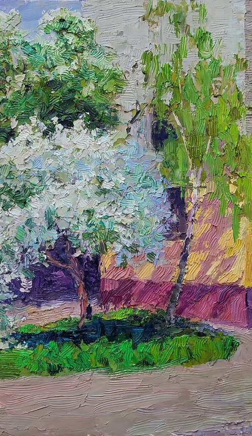 Spring walk around the city by Boris Serdyuk