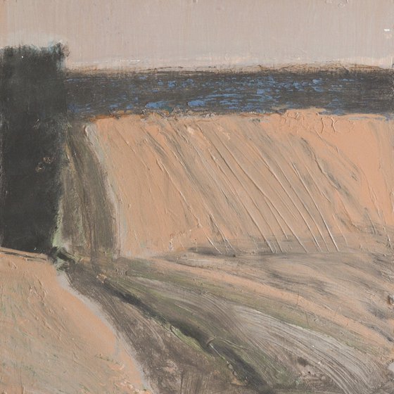 Brown field