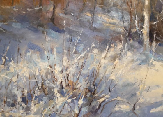 Winter dream