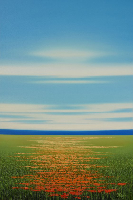 Spring Flower Field - Blue Sky