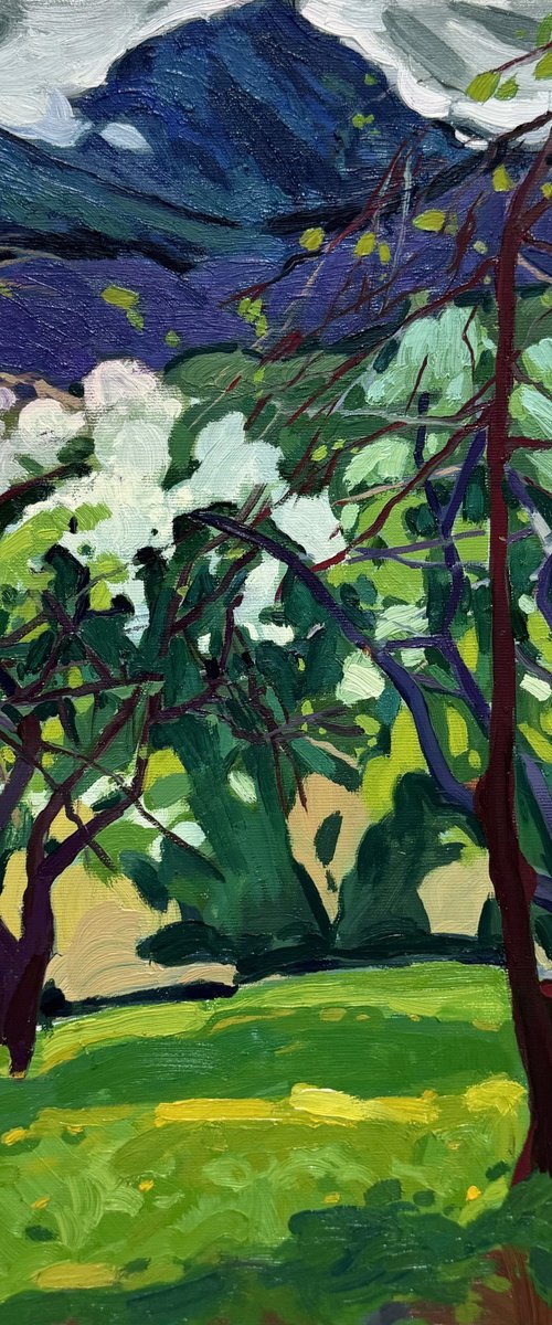 “Garden” by Raffi Ghazaryan