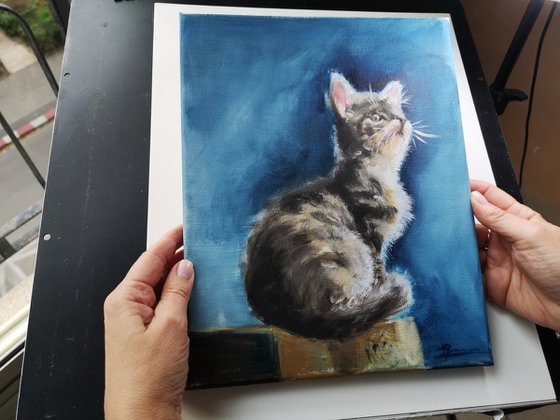 The Kitten - Original Oil Painting