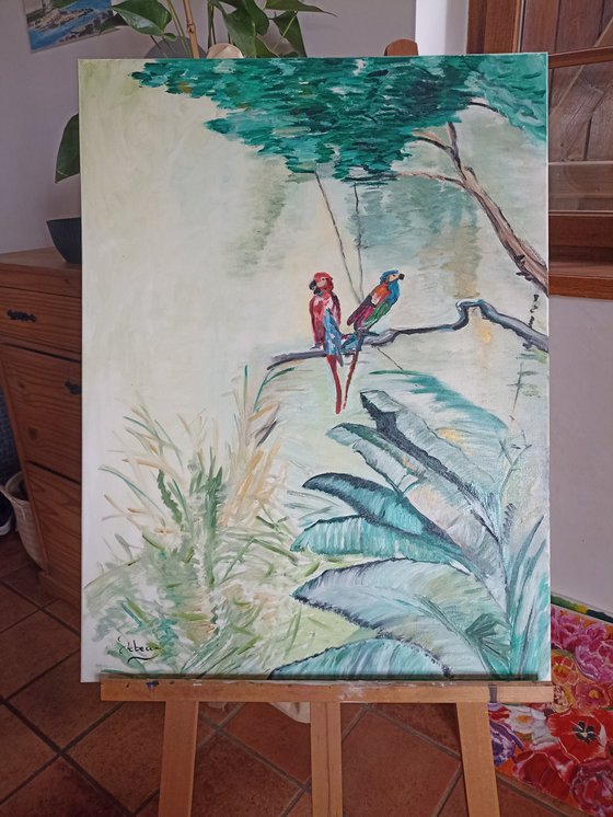 Parrots birds