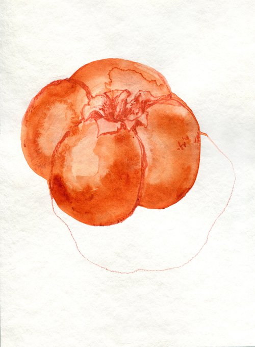 Watercolor minimalistic persimmon by Liliya Rodnikova