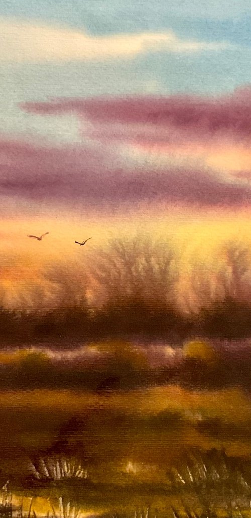 Winter Sunset beauty by Samantha Adams