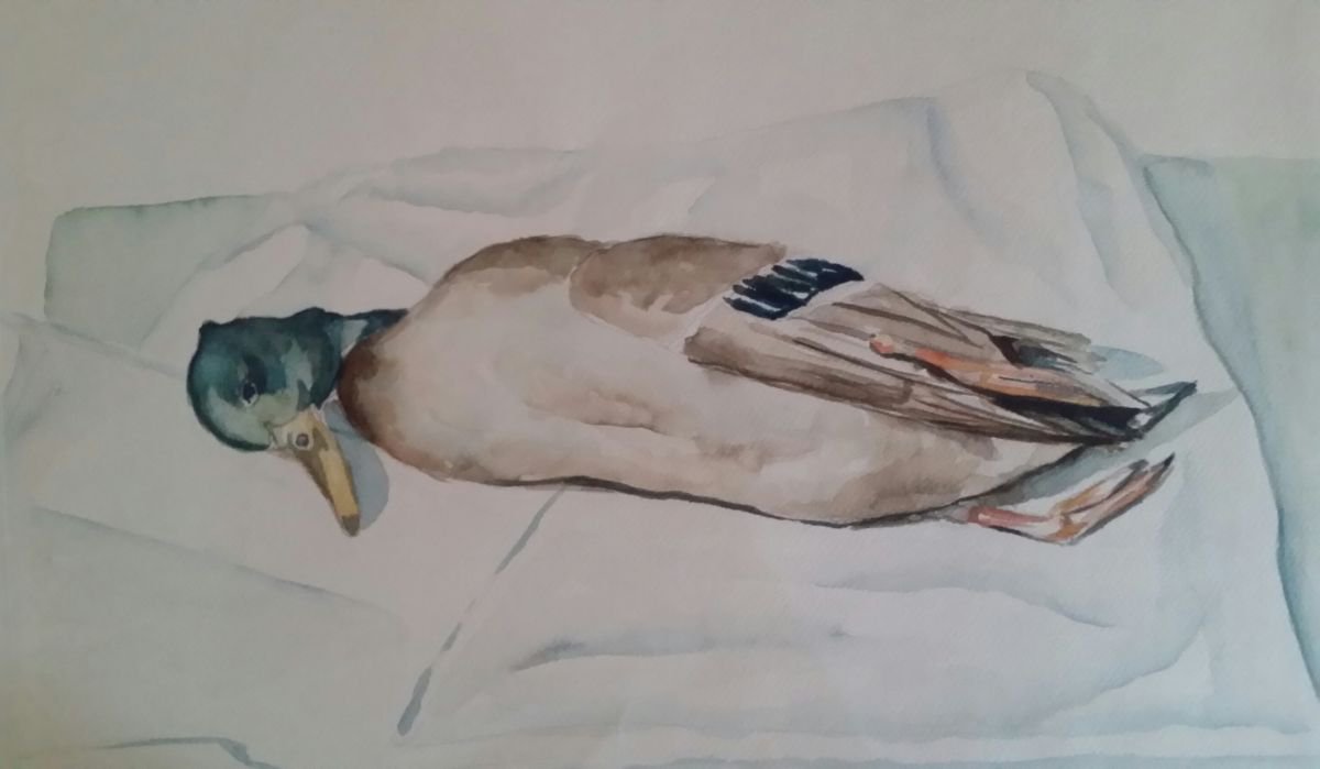 Death duck by Els Driesen