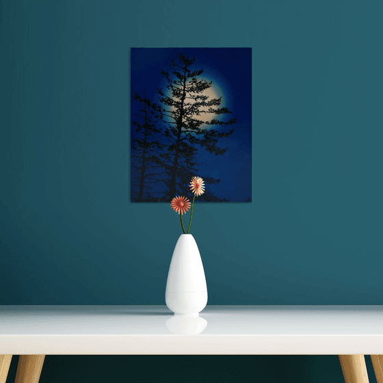 Nocturnal Pines (Reserved)