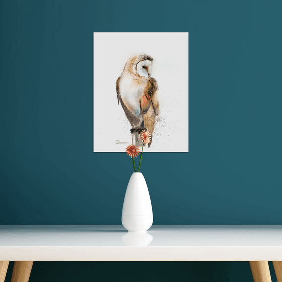 Barn Owl on the stump