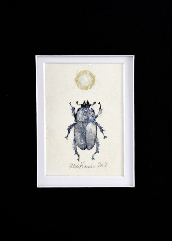 Blue Beetle (Lamprima Adophinae)