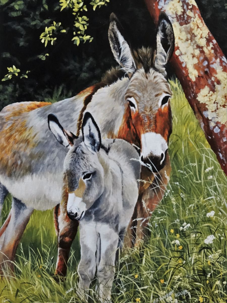Donkeys (2008) Acrylic painting by Julian Wheat Artfinder