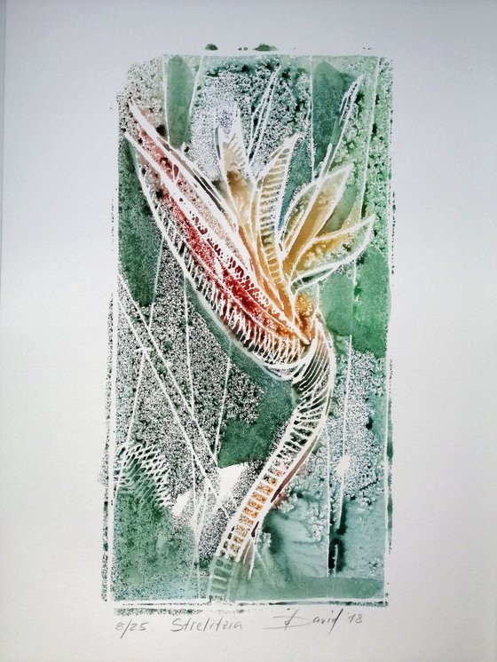 bird of paradise flower - Monotype 08