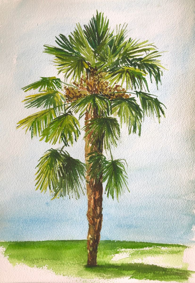 Palm tree - plein air by Krystyna Szczepanowski