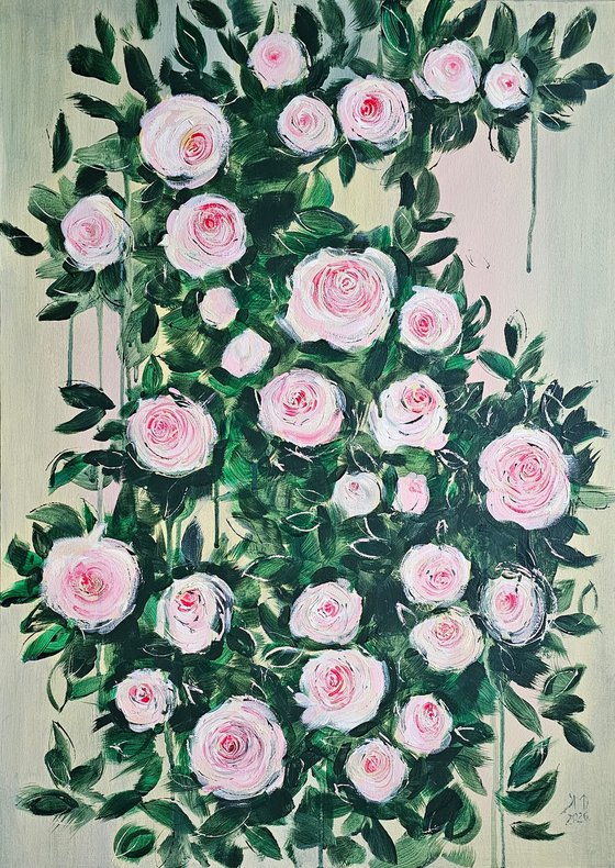 Abstract blooming pink roses bush garden