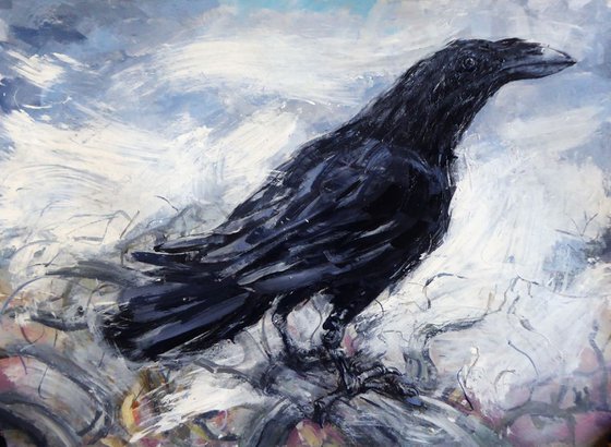 Raven, Highgate 2
