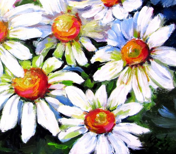 Daisies